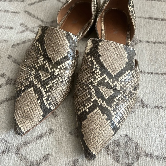 Franco Sarto Toby Flat in Roccia Leather - Picture 3 of 8